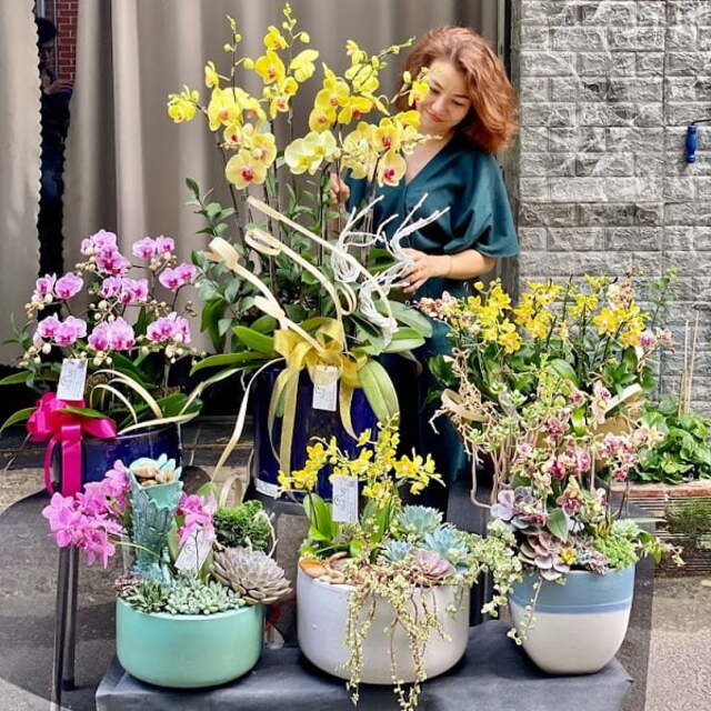 7749 điều chỉ có ở lan hồ điệp mini khiến người yêu hoa “u mê” - Giá rẻ, hợp túi tiền nhiều người yêu hoa 7749 điều chỉ có ở lan hồ điệp mini khiến người yêu hoa “u mê” - Giá rẻ, hợp túi tiền nhiều người yêu hoa