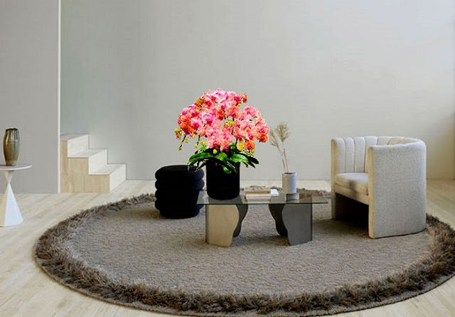 Chậu lan hồ điệp trưng bày văn phòng làm việc cũng mang đến rất nhiều ý nghĩa tốt đẹp