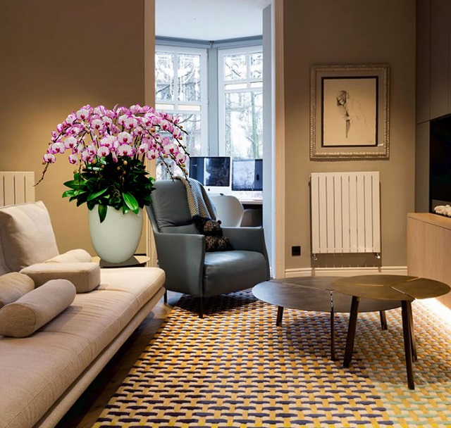 Chậu lan hồ điệp trưng phòng khách giúp gia chủ đón may mắn, tài lộc vào nhà