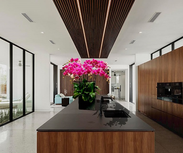 Phong thủy hoa lan hồ điệp mang đến vượng khí rất tốt cho ngôi nhà