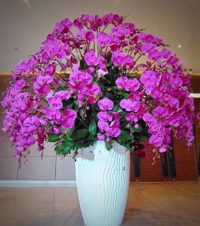 Trong làm ăn kinh doanh, nhiều người cho rằng lan hồ điệp tím tượng trưng cho sự khôn ngoan, linh hoạt, sáng tạo, giàu có và quyền lực