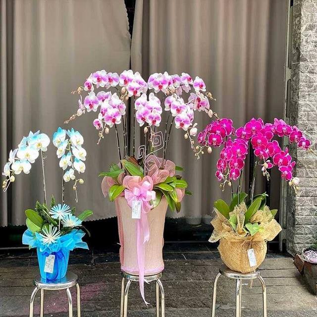 Đây chính là biểu tượng của vẻ đẹp thiêng liêng và tình yêu Đây chính là biểu tượng của vẻ đẹp thiêng liêng và tình yêu